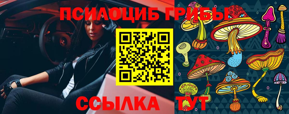 Галлюциногенные грибы Psilocybine cubensis  Вход с VPN  Псилоцибиновые грибы мухоморы  Магадан 