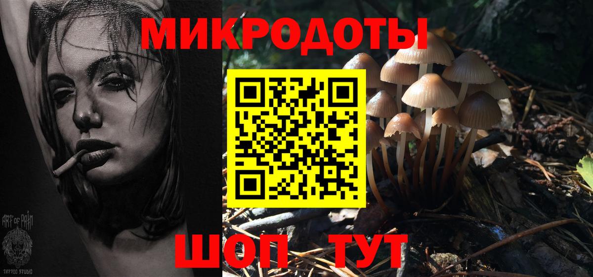 Псилоцибиновые грибы GOLDEN TEACHER Магадан